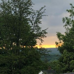 Meet your Posher, Wyni